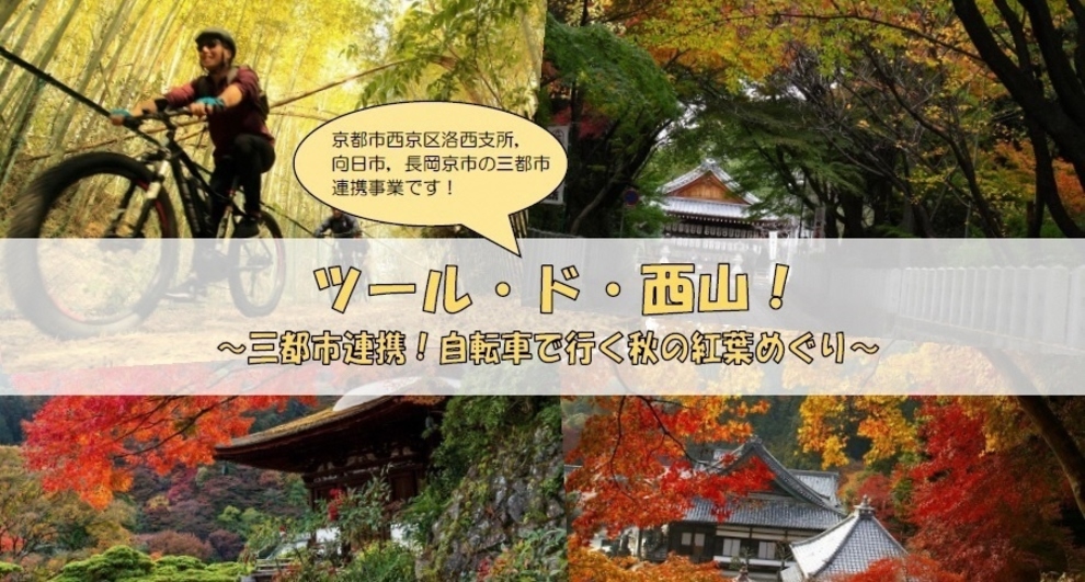 ツール ド 西山 三都市連携 自転車で行く秋の紅葉めぐり 向日市観光協会サイト